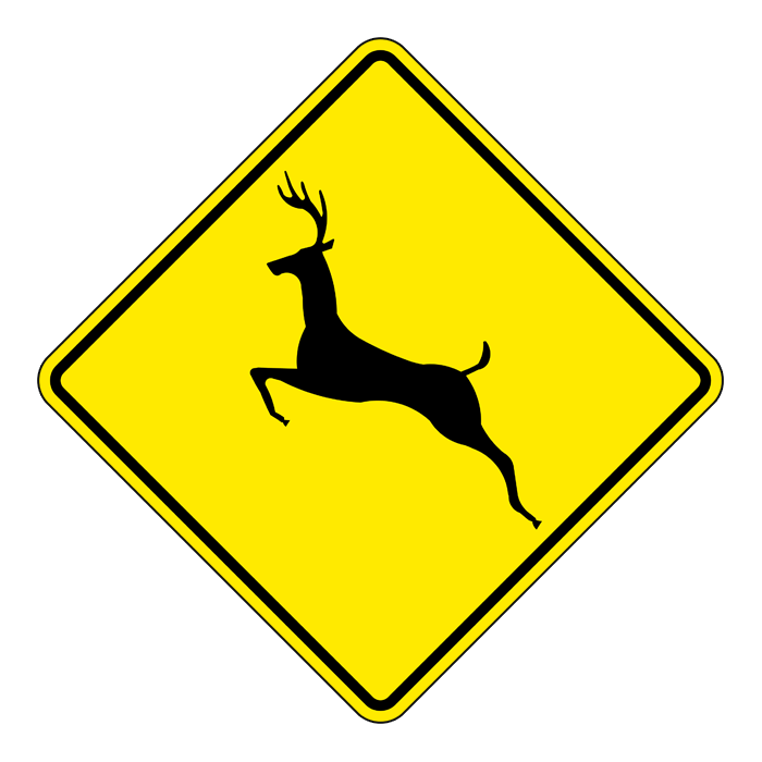 WC11, Deer Crossing, 60x60cm