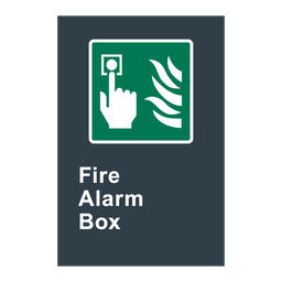 E10 CSA Fire Alarm Box