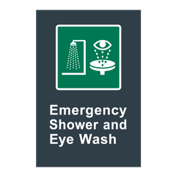 E16 CSA Emergency Shower and Eye Wash