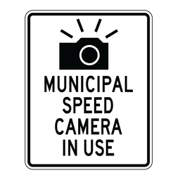 ASE398-19, Municipal Speed Camera In Use 60x75cm